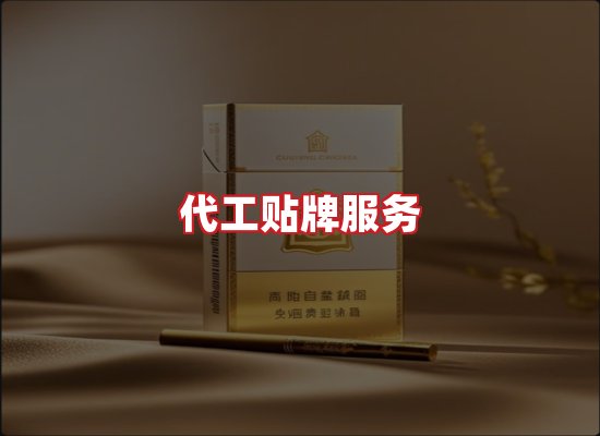 专业团队
